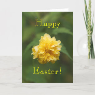 Tarjeta Festiva Shy, ¡Feliz Pascua!