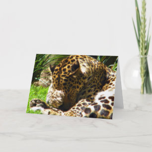 Tarjeta Festiva Shy Leopard