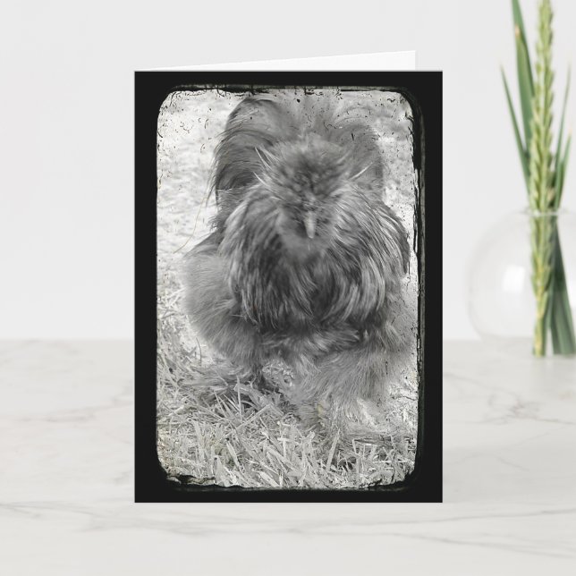 Tarjeta Festiva Silkie Rooster Pascua Blanca y Negra (Anverso)