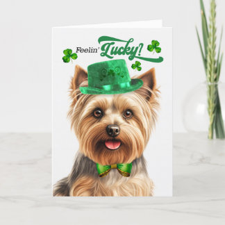 Tarjeta Festiva Silky Terrier Feelin's Lucky St Patrick's Day