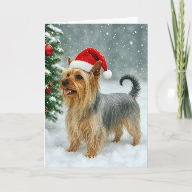 Tarjeta Festiva Silky Terrier Holiday Card (Anverso)