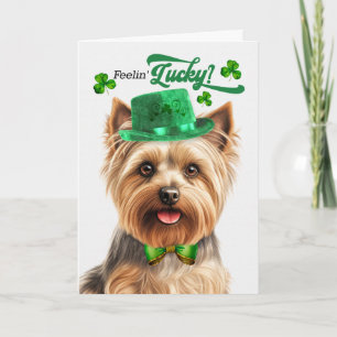 Tarjeta Festiva Silky Terrier se siente afortunado día de San Patr
