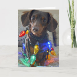 Tarjeta Festiva Silly Dachshund enredada en luces Navidades