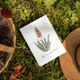 Tarjeta Festiva Simple Aloe You Vera Mucho Blank Cactus Plant Art