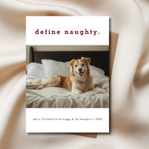 Simple Define Naughty Funny Navidades Dog Photo