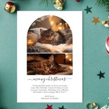 Simple Meowy Merry Christmas Cute Cat Arch Photo