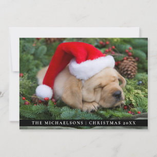 Tarjeta Festiva Sleepe Labrador Retriever Puppy Con Santa Hat