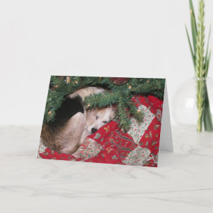 Tarjeta Festiva Sleepy Navidades Beagle