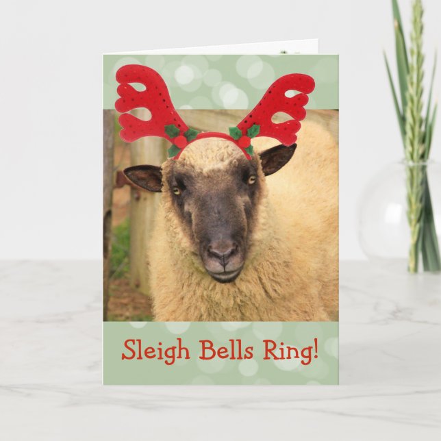 Tarjeta Festiva Sleigh Bells Sheep (Anverso)