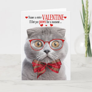 Tarjeta Festiva Smoke Scottish Fold Cat Valentine Feline Humor