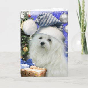 Tarjeta Festiva Snowdrop, la carta de los Navidades malteses