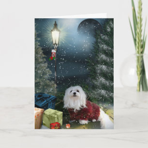 Tarjeta Festiva Snowdrop, la carta de los Navidades malteses