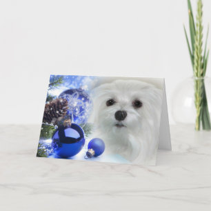 Tarjeta Festiva Snowdrop, la carta de los Navidades malteses