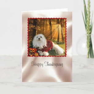 Tarjeta Festiva Snowdrop la carta maltesa de Acción de Gracias