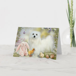 Tarjeta Festiva Snowdrop la carta maltesa de saludo de Pascua