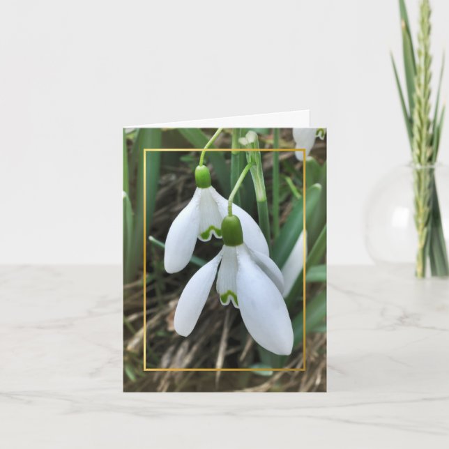 Tarjeta Festiva Snowdrops con la frontera del oro (Anverso)