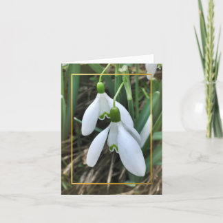 Tarjeta Festiva Snowdrops con la frontera del oro