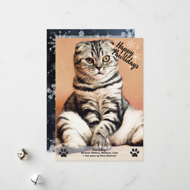 Tarjeta Festiva Snowflakes Happy Pawlidays Cat Dog Photo Navidades (Anverso/Reverso In Situ)