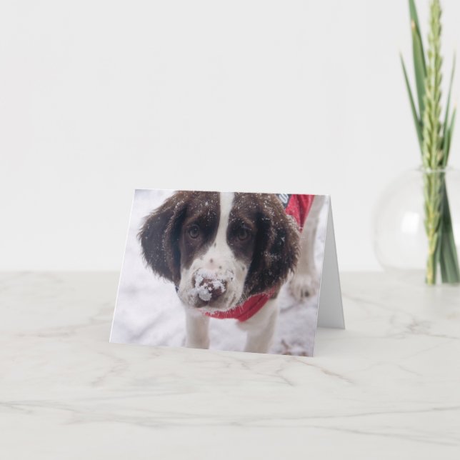 Tarjeta Festiva Snowowley Nose Puppy (Anverso)