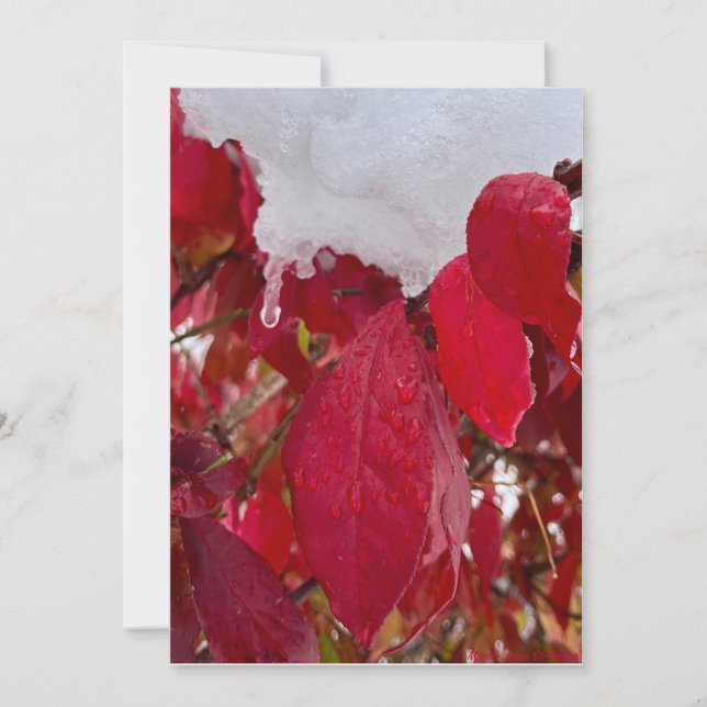 Tarjeta Festiva Snowy Leaves (Anverso)