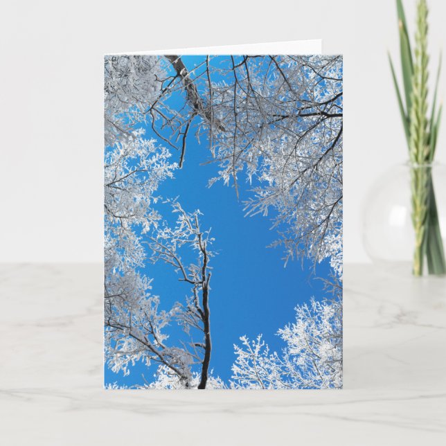 Tarjeta Festiva Snowy Winter Scene (Anverso)