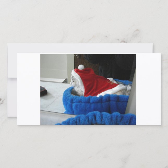 Tarjeta Festiva Snuggler es patas de Santa (Anverso)