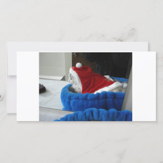 Tarjeta Festiva Snuggler es patas de Santa