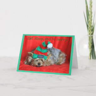 Tarjeta Festiva Soleada Cachorrona Con Gorra De Elf