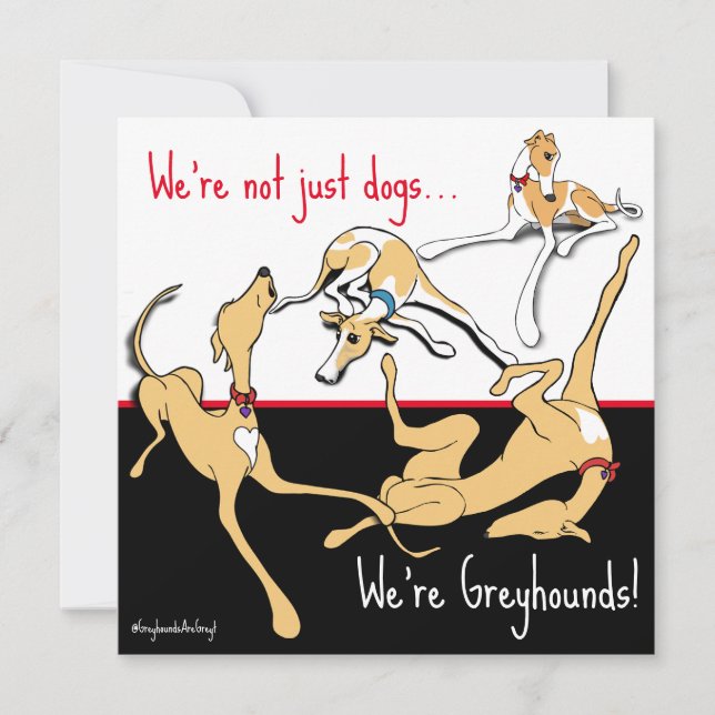 Tarjeta Festiva ¡Somos Greyhounds! Tema negro, blanco y rojo. (Anverso)