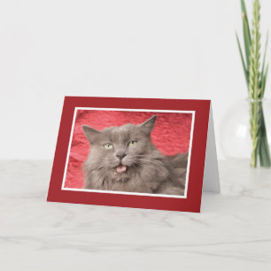 Tarjeta Festiva Somos Purrfect para Eachother - modificado para