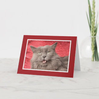 Tarjeta Festiva Somos Purrfect para Eachother - modificado para