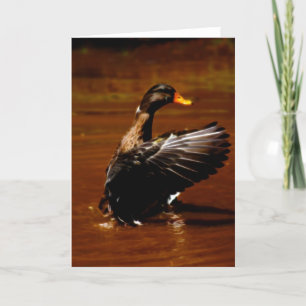 Tarjeta Festiva Soñando Con El Vuelo