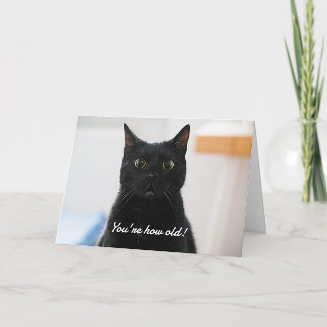 Tarjeta Festiva Sorprendido cumpleaños gracioso de gato (Anverso)