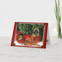 Sorpresa de los navidades