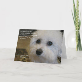 Tarjeta Festiva ¿Soy supuesto ser excitado?