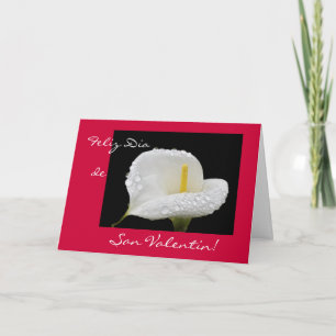 Tarjeta Festiva Spanish: Valentine's Day / Dia de San Valentin