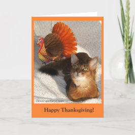 Tarjeta Festiva Sparkle Thanksgiving Kitty Card