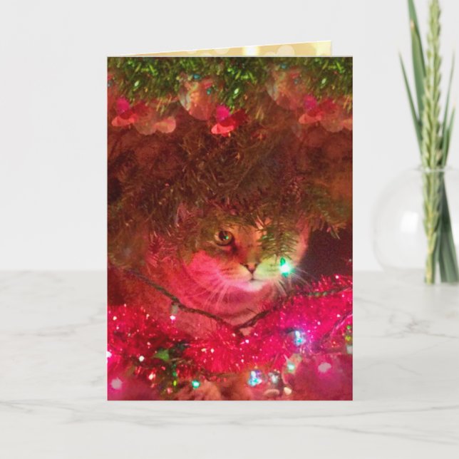 Tarjeta Festiva Sparkly Rupie Cat Navidades (Anverso)