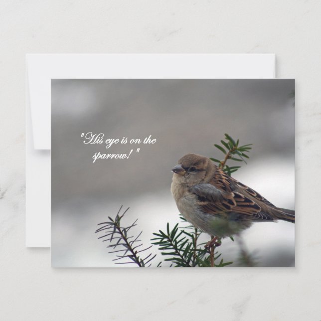 Tarjeta Festiva Sparrow, ¡Su ojo está en el Sparrow! (Anverso)