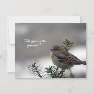 Tarjeta Festiva Sparrow, ¡Su ojo está en el Sparrow!