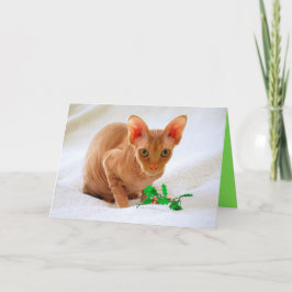 Tarjeta Festiva Sphinx Cat Holly Merry Christmas