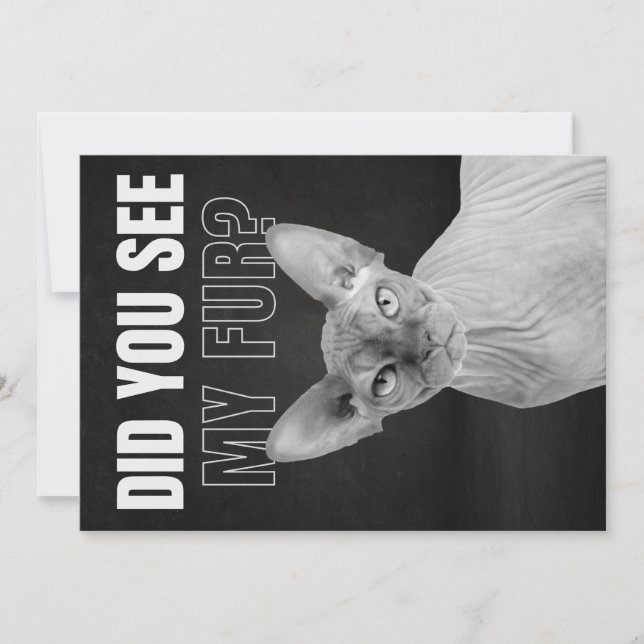 Tarjeta Festiva Sphynx Cat Sarcastic Fur Humor Illustration (Anverso)