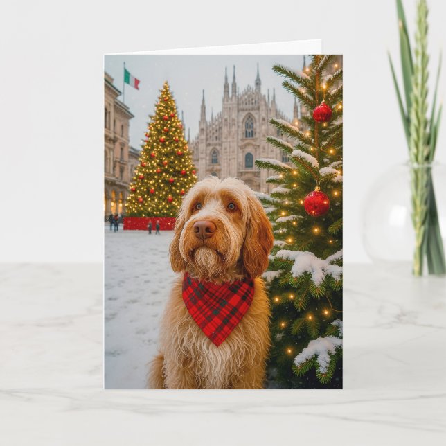 Tarjeta Festiva Spinone Italiano Holiday Card (Anverso)
