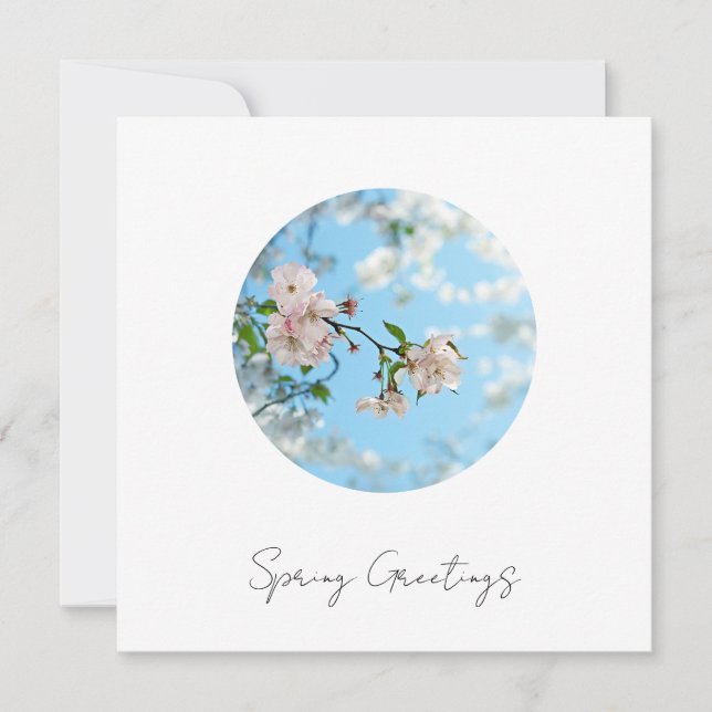 Tarjeta Festiva Spring Is in the Air -  (Anverso)