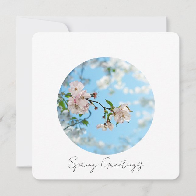 Tarjeta Festiva Spring Is in the Air (Anverso)