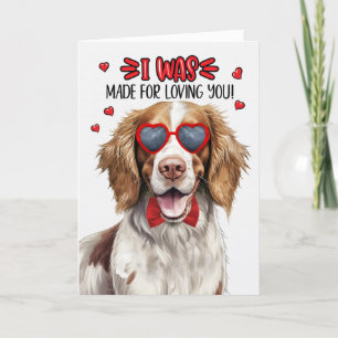 Tarjeta Festiva Springer Spaniel Hecho para Amarte San Valentín
