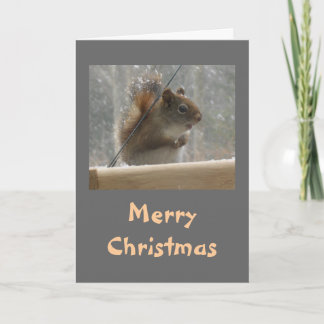 Tarjeta Festiva Squirrel Merry Christmas
