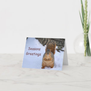 Tarjeta Festiva SquirrelChristmas