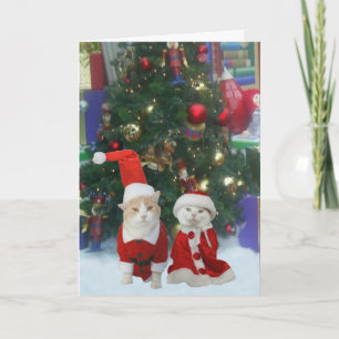 Tarjeta Festiva Sr. y Sra. Kitty