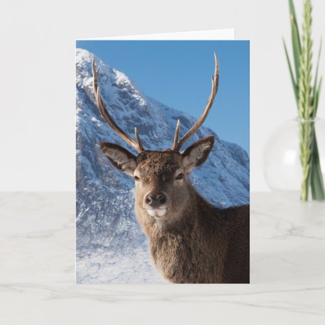 Tarjeta Festiva Stag (Anverso)